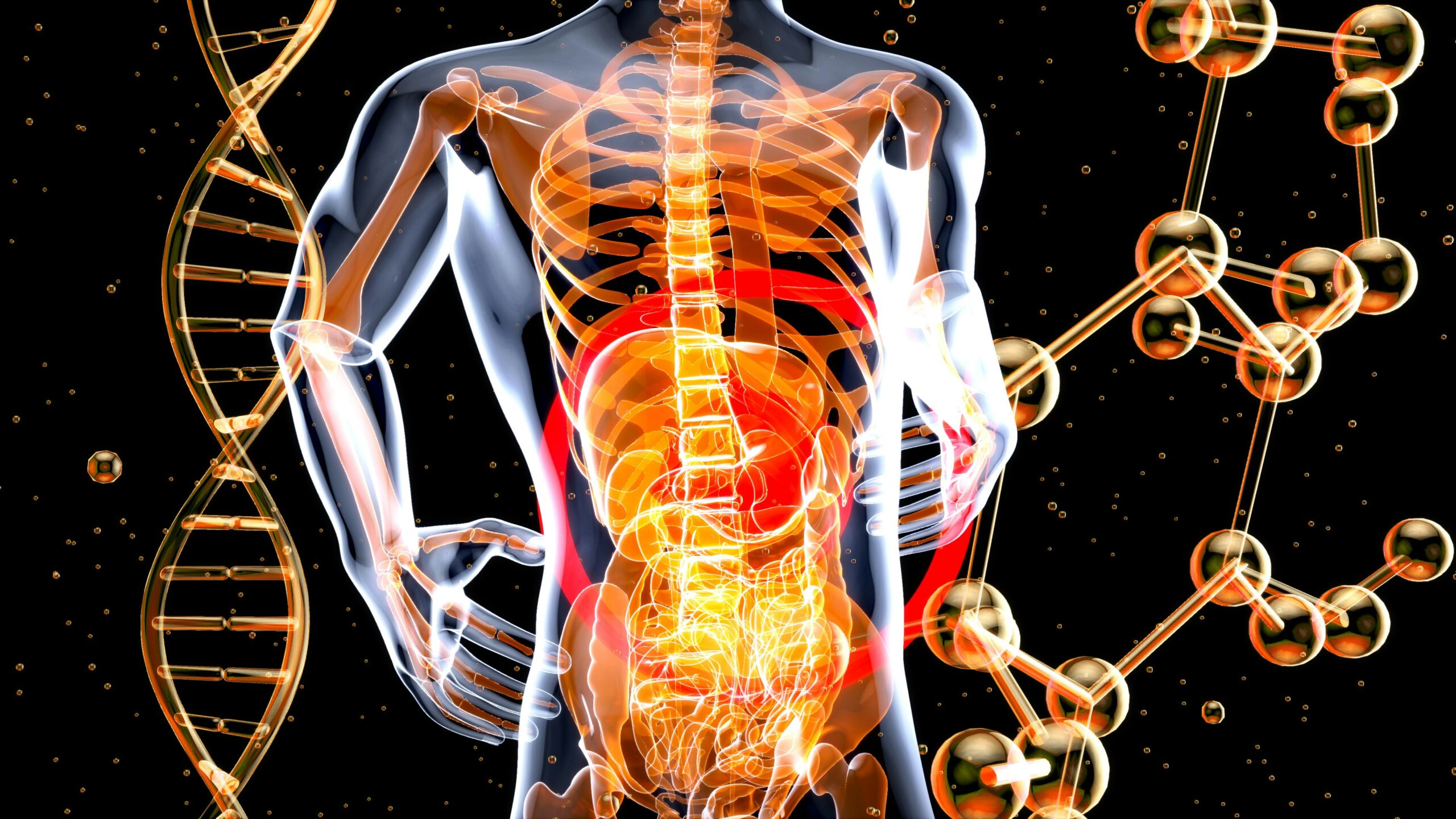 Why Fiber Is the Key to a Healthy Digestive System & Gut Health