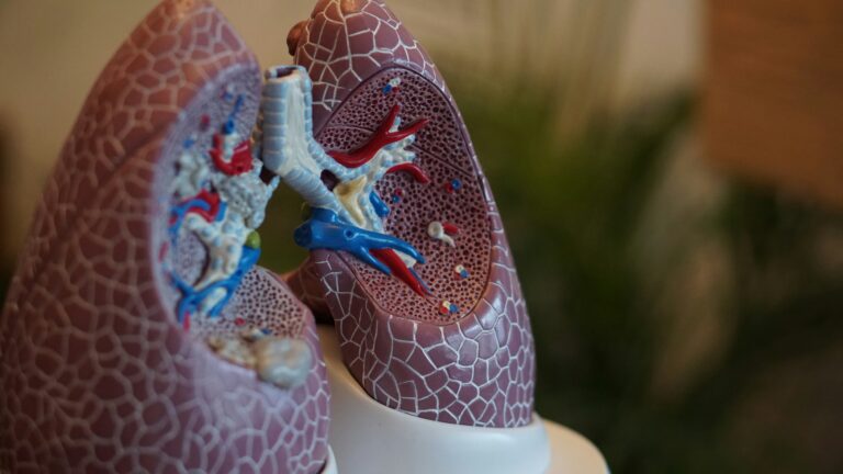how to improve lung health naturally
